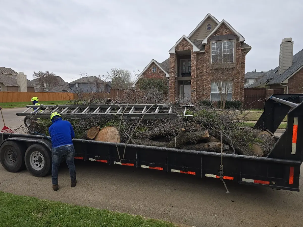 Expert Lot Clearing with proper safety equipment in Lambert